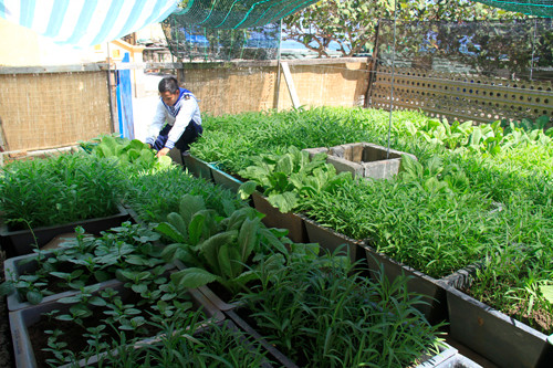 Tặng quà, giao lưu văn nghệ với chiến sỹ, nhân dân đảo Trường Sa ảnh 17