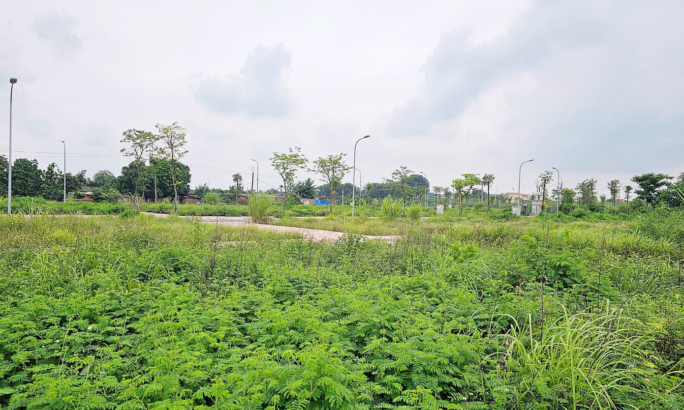 Theo TS. Trần Xuân Lượng, để ngăn chặn tình trạng này, khi đấu giá đất người tham gia đấu giá cần phải chứng minh được khả năng tài chính hợp pháp và mục đích sử dụng đất rõ ràng. Yêu cầu này giúp ngăn chặn tình trạng đầu cơ và rửa tiền. Đồng thời, người trúng đấu giá phải cam kết sử dụng đất đúng mục đích trong thời gian quy định. Nếu vi phạm, đất có thể bị thu hồi và người vi phạm phải chịu trách nhiệm pháp lý, thậm chí bị thu hồi. Cùng với đó, là trách nhiệm của cơ quan quản lý khi để tình trạng đấu giá xong rồi bỏ hoang hoá, lãng phí...