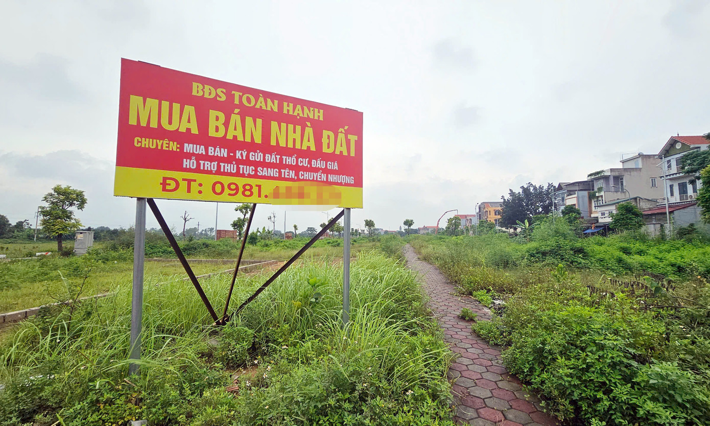 Khu đất đấu giá hoang vắng, không một bóng người.