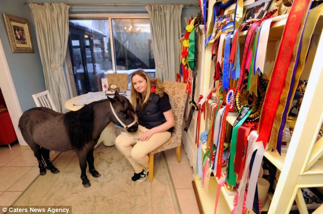 Gia đình cô Northover luôn cảm thấy vui vẻ vì có thêm những thành viên ngựa này . Cô luôn cảm thấy vui vẻ vì có thêm những thành viên ngựa này