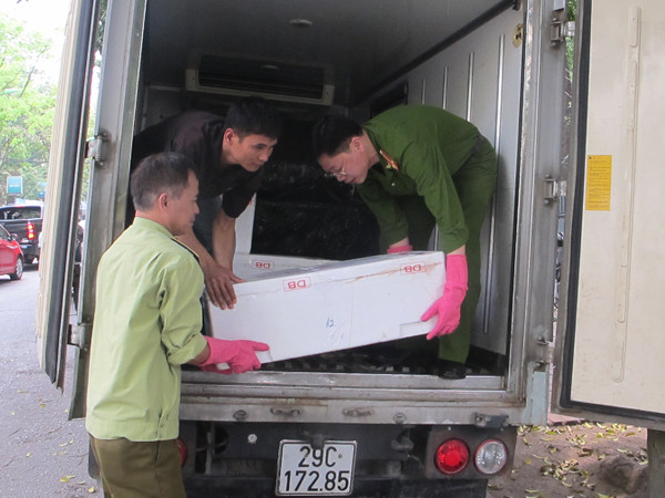 Lực lượng chức năng kiểm đếm lô hàng nội tạng trên xe ô tô