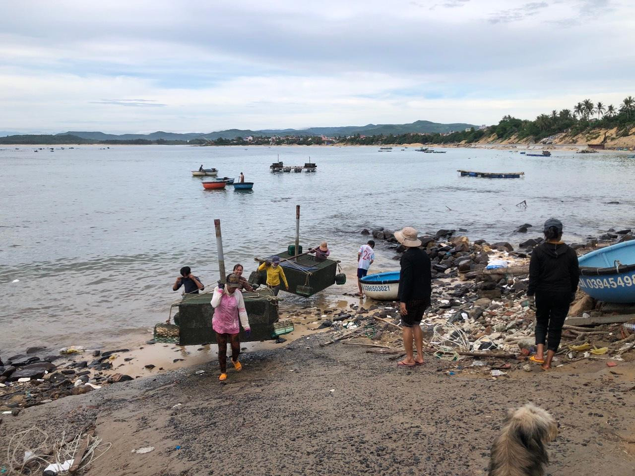 Người dân Phú Yên di chuyển lồng bè nuôi tôm hùm lên bờ tránh bão Noru. Ảnh Ngọc Linh Người dân Phú Yên di chuyển lồng bè nuôi tôm hùm lên bờ tránh bão Noru. Ảnh Ngọc Linh