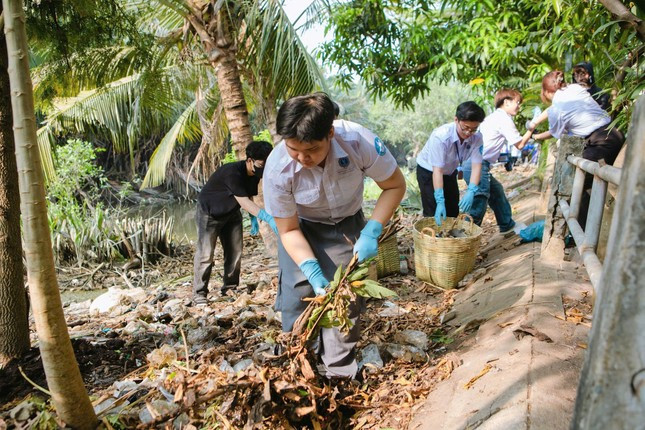 Sinh viên TP. HCM tích cực tham gia các hoạt động tình nguyện.