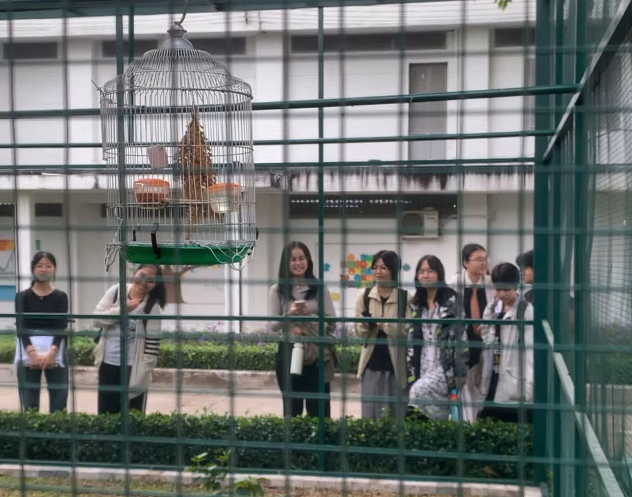 Vườn thú nhỏ hằng ngày thu hút rất đông sinh viên trong trường ghé thăm.