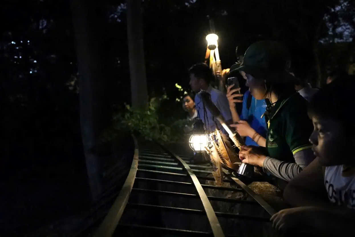Các bạn trẻ tham quan tour ngắm thú đêm tại Thảo Cầm Viên Sài Gòn. Các bạn trẻ tham quan tour ngắm thú đêm tại Thảo Cầm Viên Sài Gòn.