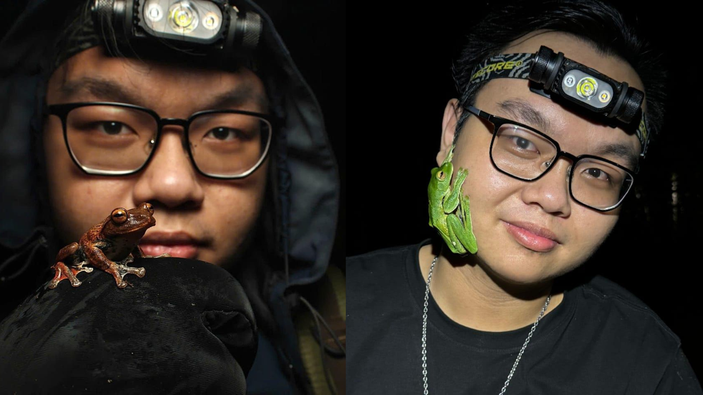 Ngoài rắn, Minh Phú còn dành sự quan tâm đặc biệt dành cho ếch.