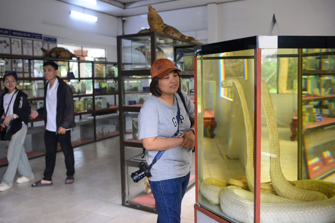 Ngoài ra, trại rắn Đồng Tâm hiện là cơ sở còn sở hữu bảo tàng rắn duy nhất ở Việt Nam và đã được xác lập kỷ lục Guiness về lưu giữ tiêu bản của hầu hết các loại rắn hiện đang có ở Việt Nam.