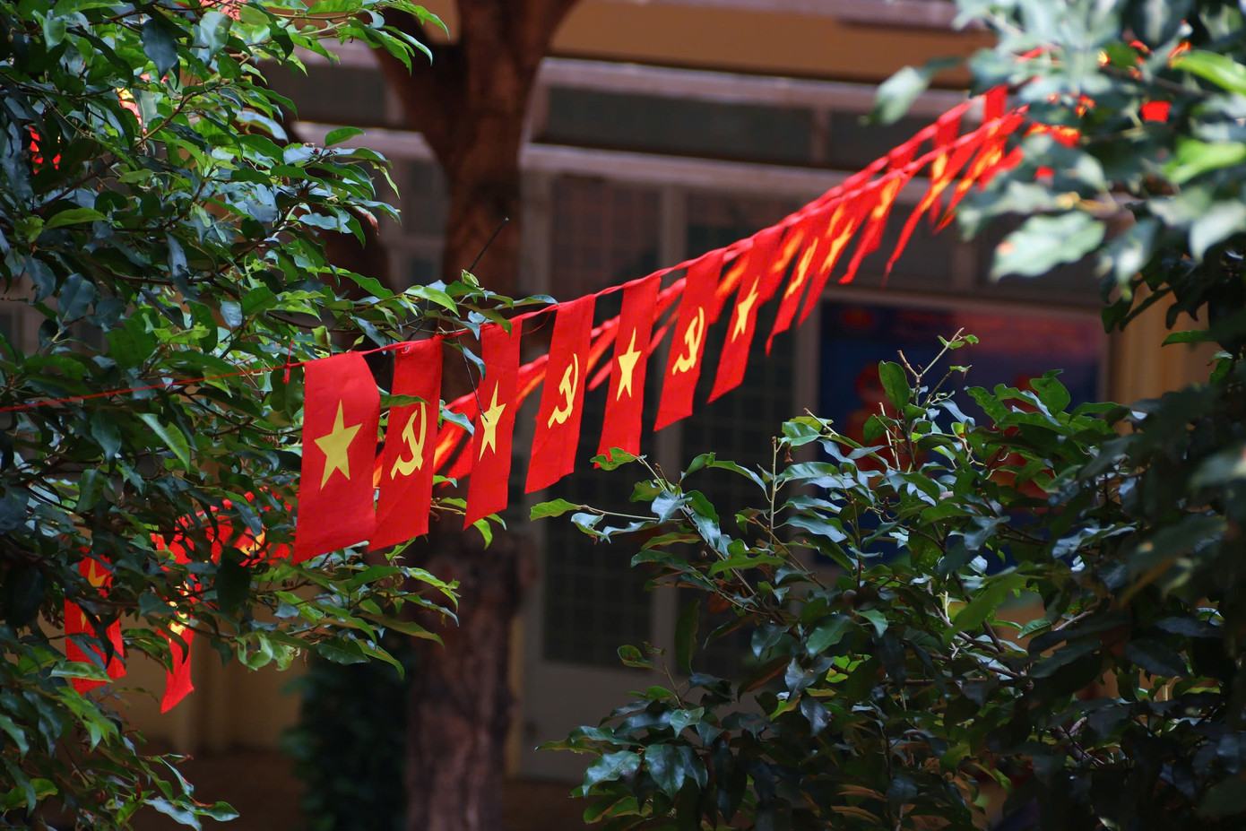 Không gian khu vực sân B của trường rợp bóng cờ hoa, tạo không khí hân hoan chào đón Kỷ niệm 50 Ngày Giải phóng miền Nam, thống nhất đất nước.