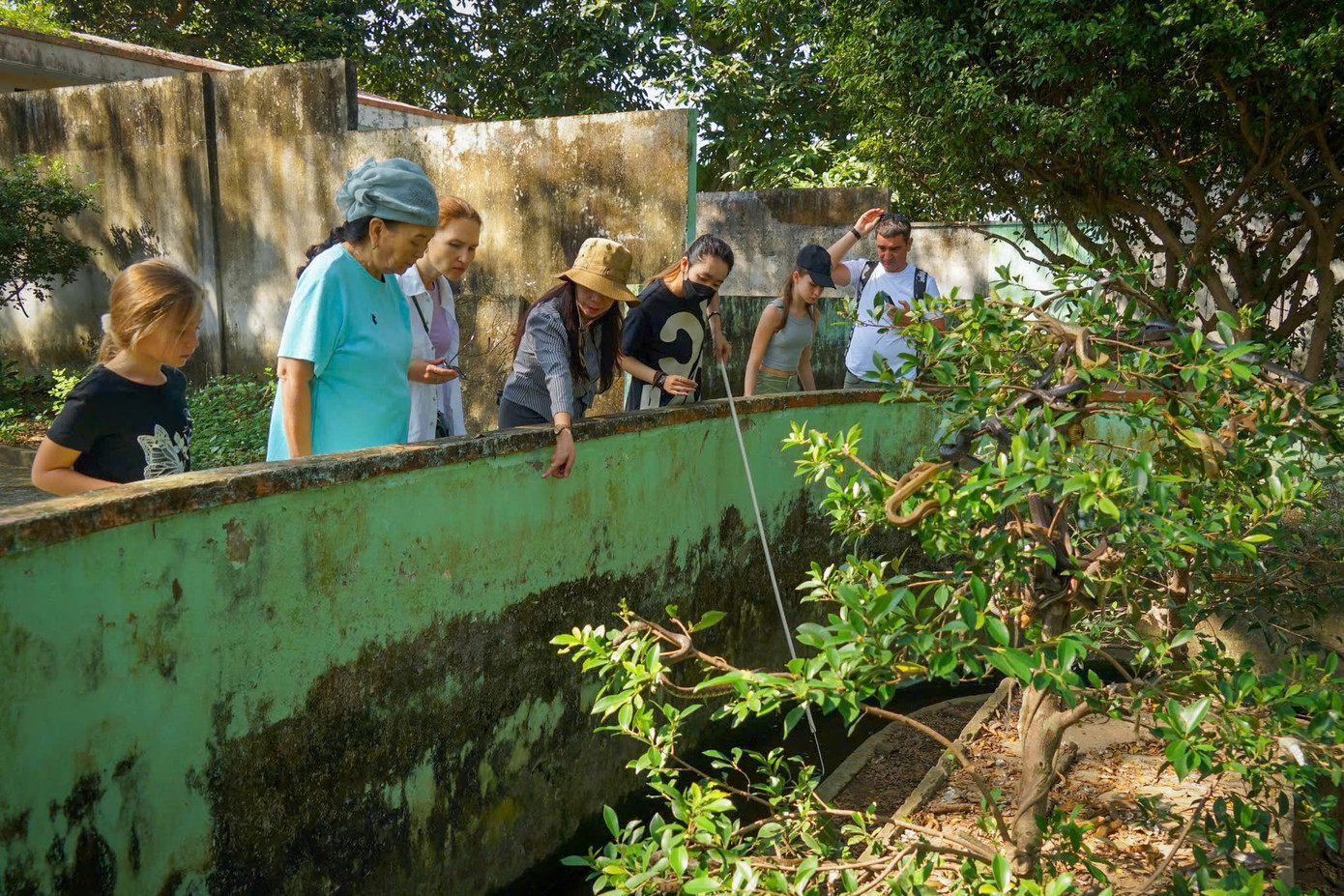 Tại trại rắn này, nếu như các loài rắn độc được nuôi trong chuồng có lưới sắt thì những loại rắn không độc như rắn nước, rắn ráo, rắn lục kim, rắn hổ ngựa… được nuôi ở môi trường tự nhiên hoặc bán tự nhiên để du khách có dịp nhìn và tương tác.