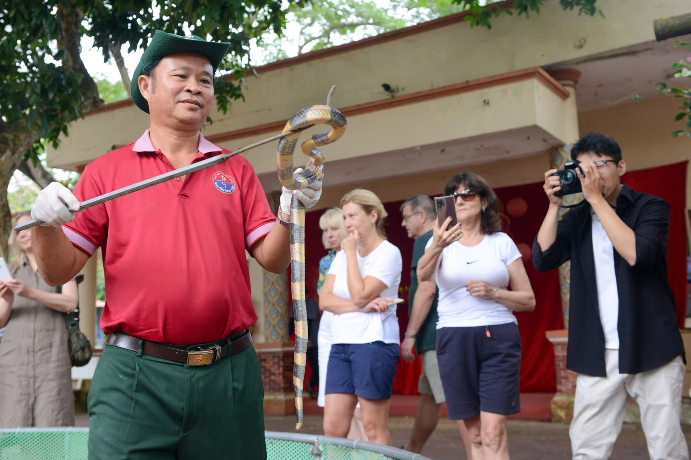 Đến với Trại rắn Đồng Tâm trong những ngày này, các bạn trẻ sẽ được xem hoạt động trình diễn lấy nọc rắn, hoạt động này đã được tổ chức từ năm 2022 đến nay và luôn thu hút nhiều du khách đến xem.
