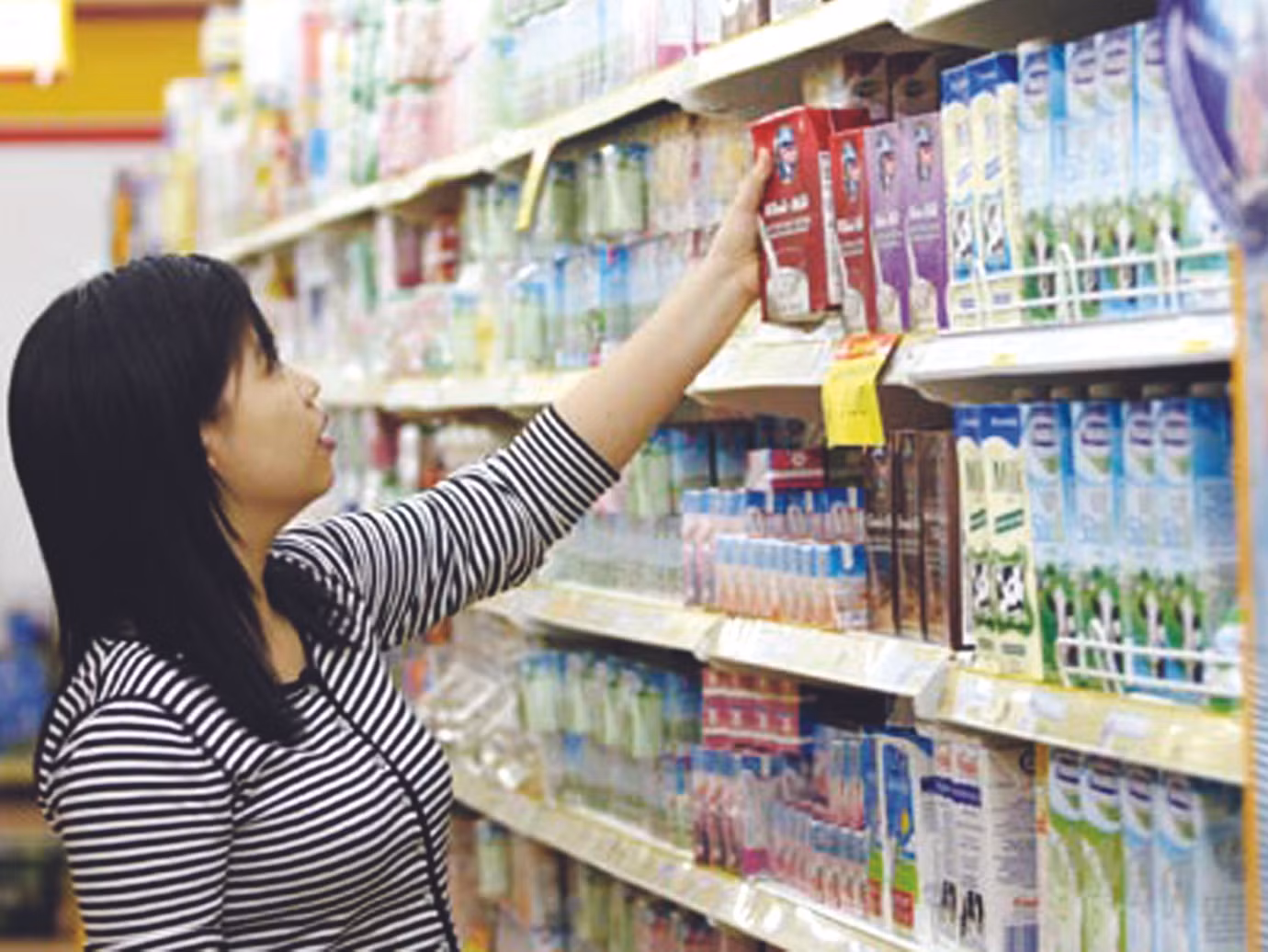 Chất lượng sữa đang bị thả nổi . Ảnh: Huyền Linh Chất lượng sữa đang bị thả nổi