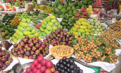 Cùng Đồng bằng sông Cửu Long phát triển bền vững ảnh 1