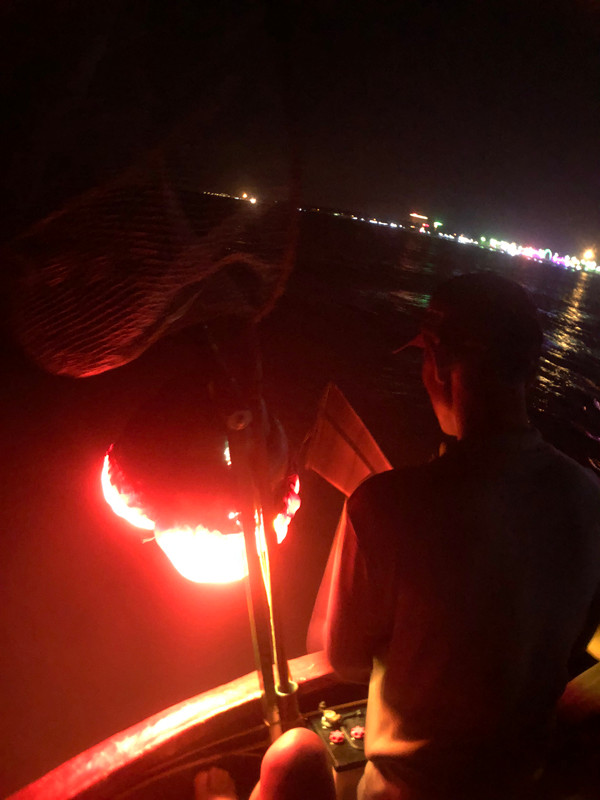 Đặc sản mực nháy Cửa Lò ảnh 2