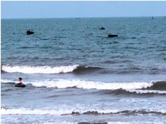 Đặc sản mực nháy Cửa Lò ảnh 1