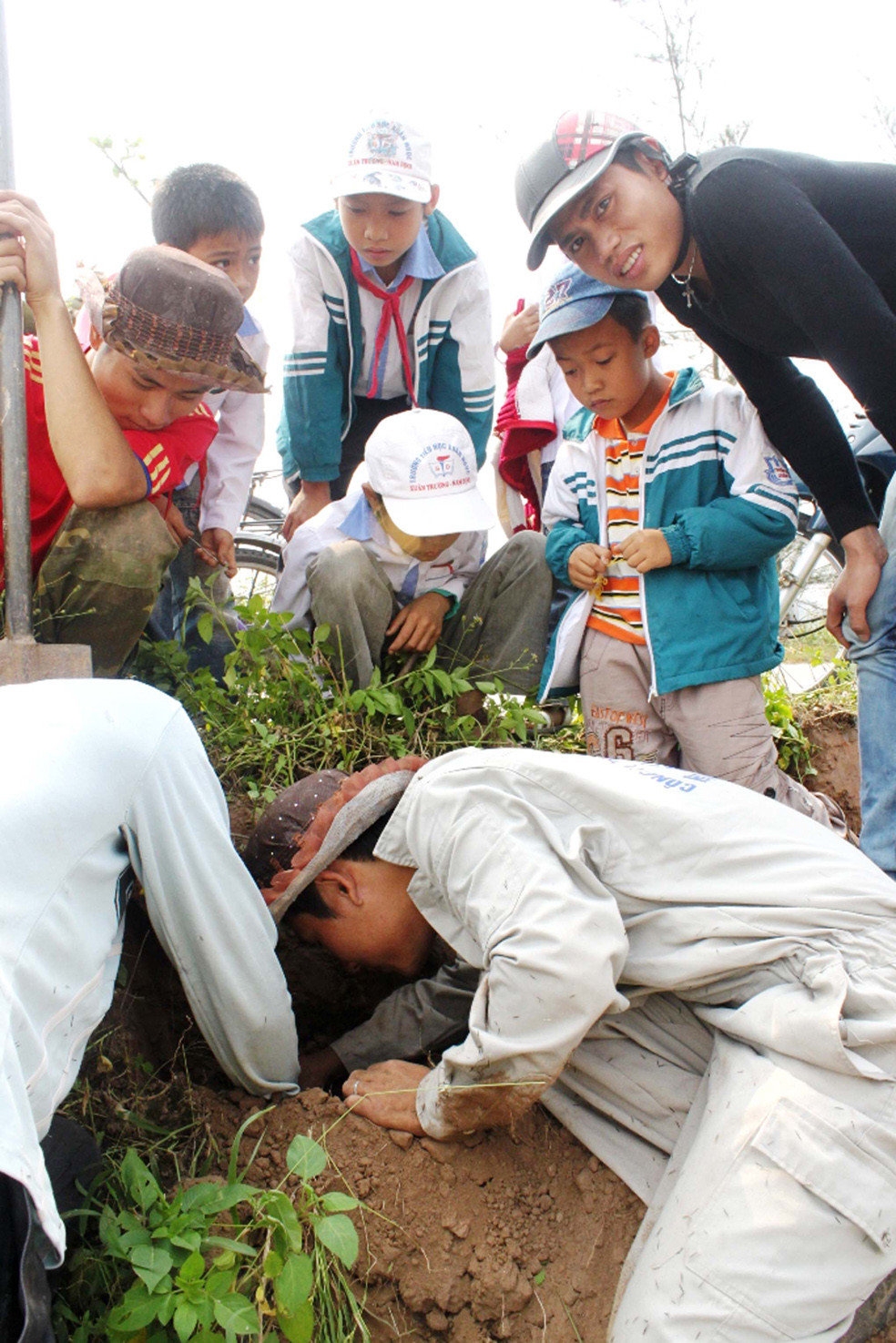 Nhóm SBC của Nhật trên cánh đồng Xuân Ngọc	Ảnh: Nguyễn Huy