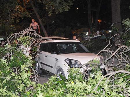 Người dân thu dọn cành cây gãy đổ