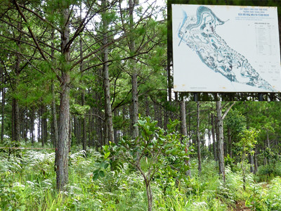 Sau 4 năm triển khai, dự án “Làng du lịch sinh thái rừng - phim trường ngoại cảnh D.N.A” vẫn chỉ là đất rừng (ảnh lớn); Dự án của D.N. A đòi sang nhượng với giá 15 tỷ (ảnh nhỏ) . Ảnh: P.V Sau 4 năm triển khai, dự án “Làng du lịch sinh thái rừng - phim trường ngoại cảnh D.N.A” vẫn chỉ là đất rừng (ảnh lớn); Dự án của D.N. A đòi sang nhượng với giá 15 tỷ (ảnh nhỏ)