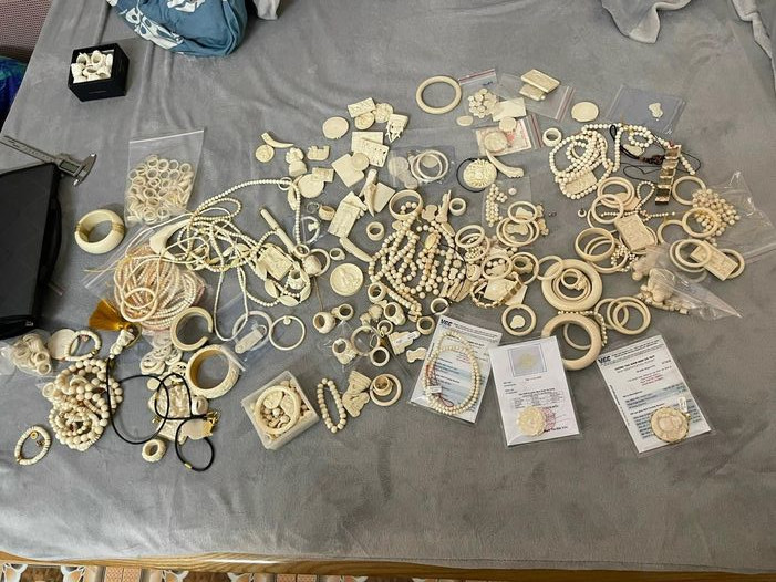 Tang vật thu giữ.