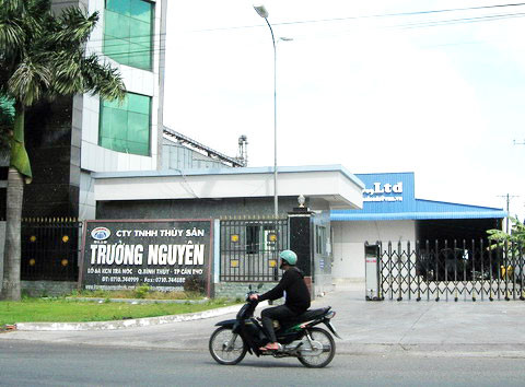 Công ty Trường Nguyên đã được cho thuê 5 năm để chủ cũ lấy tiền trả lãi ngân hàng mỗi tháng. Ảnh: Duy Khang