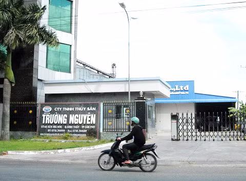 Công ty Trường Nguyên đã được cho thuê 5 năm để chủ cũ lấy tiền trả lãi ngân hàng mỗi tháng. Ảnh: Duy Khang