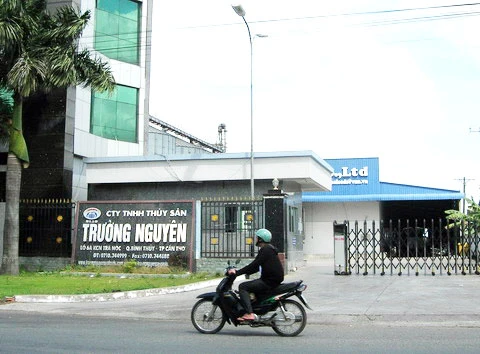 Công ty Trường Nguyên đã được cho thuê 5 năm để chủ cũ lấy tiền trả lãi ngân hàng mỗi tháng. Ảnh: Duy Khang
