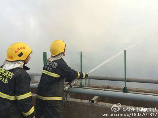 Tai nạn liên hoàn trên cao tốc, 20 ô tô cháy ngùn ngụt ảnh 9