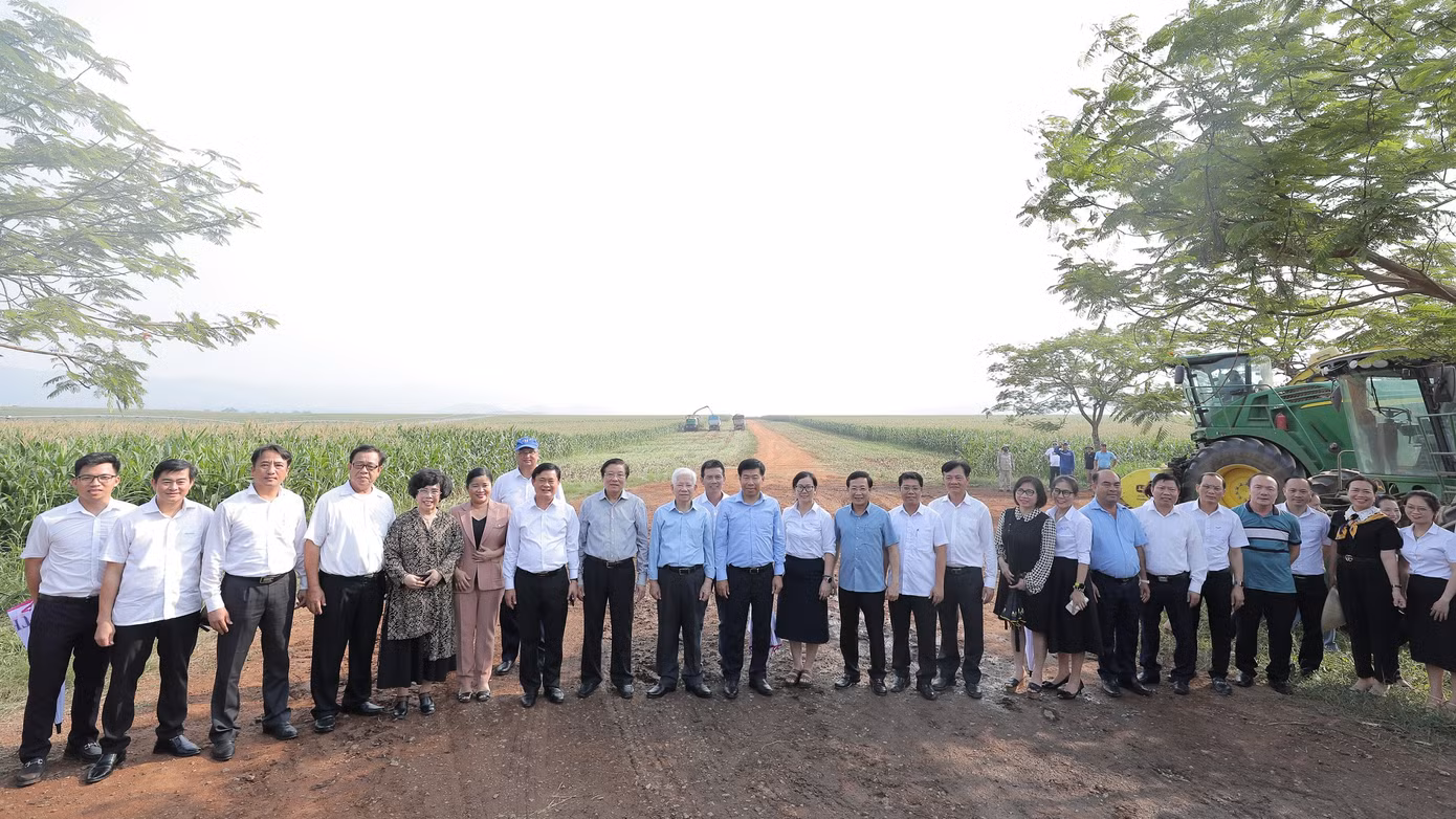 Đoàn công tác thăm những cánh đồng nguyên liệu ứng dụng công nghệ hiện đại của Cụm trang trại bò sữa TH.