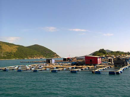 Khu dân cư Vũng Ngán và một góc Sở đầm ngày nào . Khu dân cư Vũng Ngán và một góc Sở đầm ngày nào