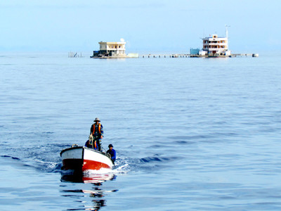Đảo Thuyền Chài B. Đảo Thuyền Chài B