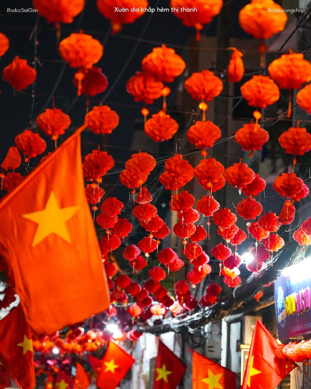 Không chỉ gây ấn tượng bởi ảnh chụp, những câu quote ngắn của chủ nhân tài khoản cũng khiến nhiều người xúc động. Ảnh: @odaucungchup. Không chỉ gây ấn tượng bởi ảnh chụp, những câu quote ngắn của chủ nhân tài khoản cũng khiến nhiều người xúc động. Ảnh: @odaucungchup.