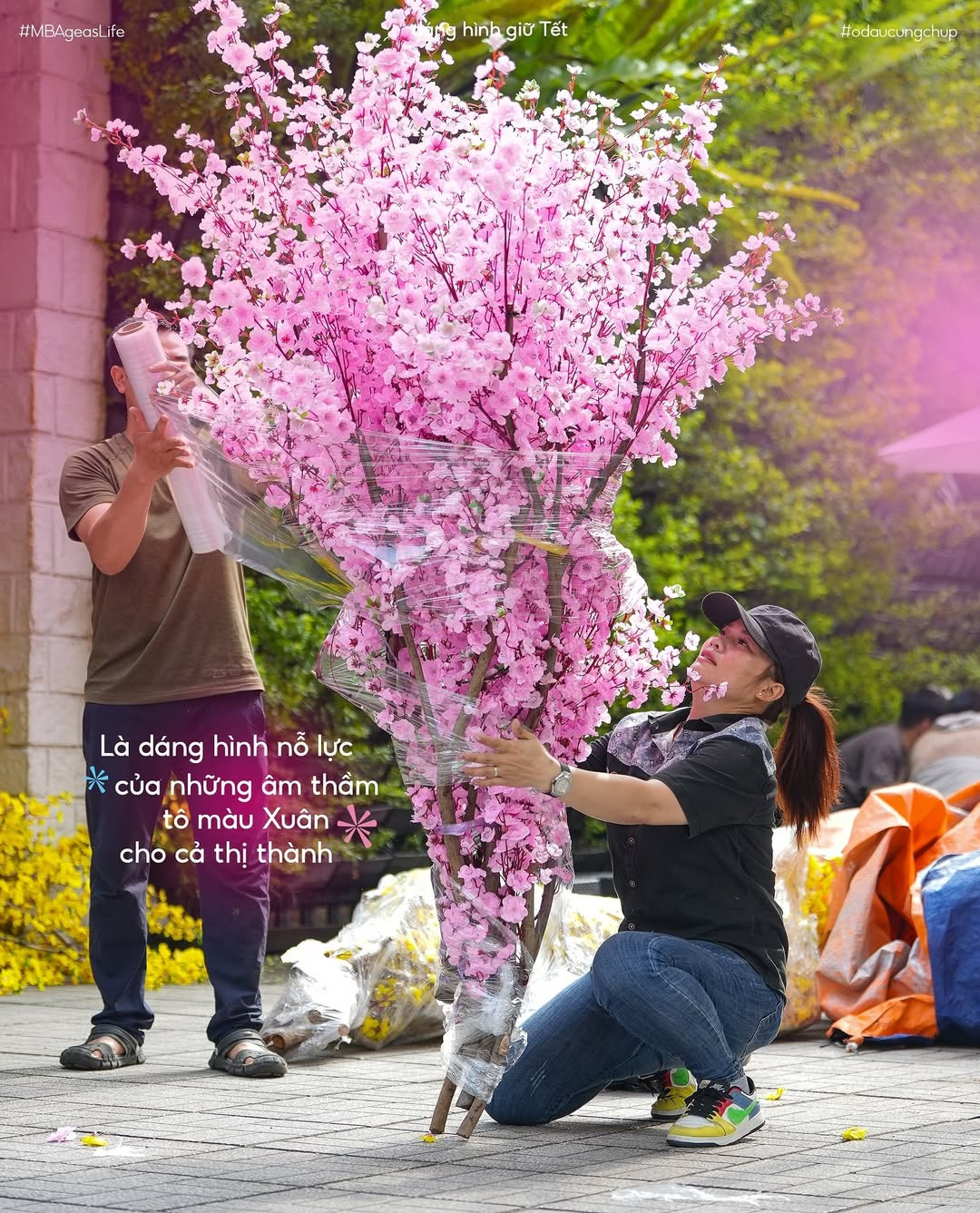 Những chuyến xe tấp nập hàng Tết, những cành mai cành đào cùng lời tựa ý nghĩa khiến những người trẻ càng nôn nao tinh thần về quê. Những chuyến xe tấp nập hàng Tết, những cành mai cành đào cùng lời tựa ý nghĩa khiến những người trẻ càng nôn nao tinh thần về quê.