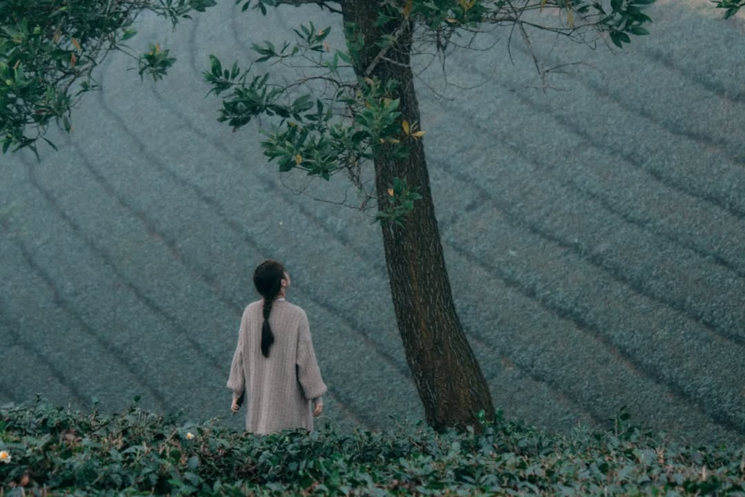 Không thua gì đồi chè Mộc Châu hay đồi chè Cầu đất, đồi chè Long Cốc cũng có thể khiến bạn có những hình ảnh đẹp miễn bàn! Ảnh: @ttquynh000, @ngoctuyetduong, Nguyễn Anh Chiêm.