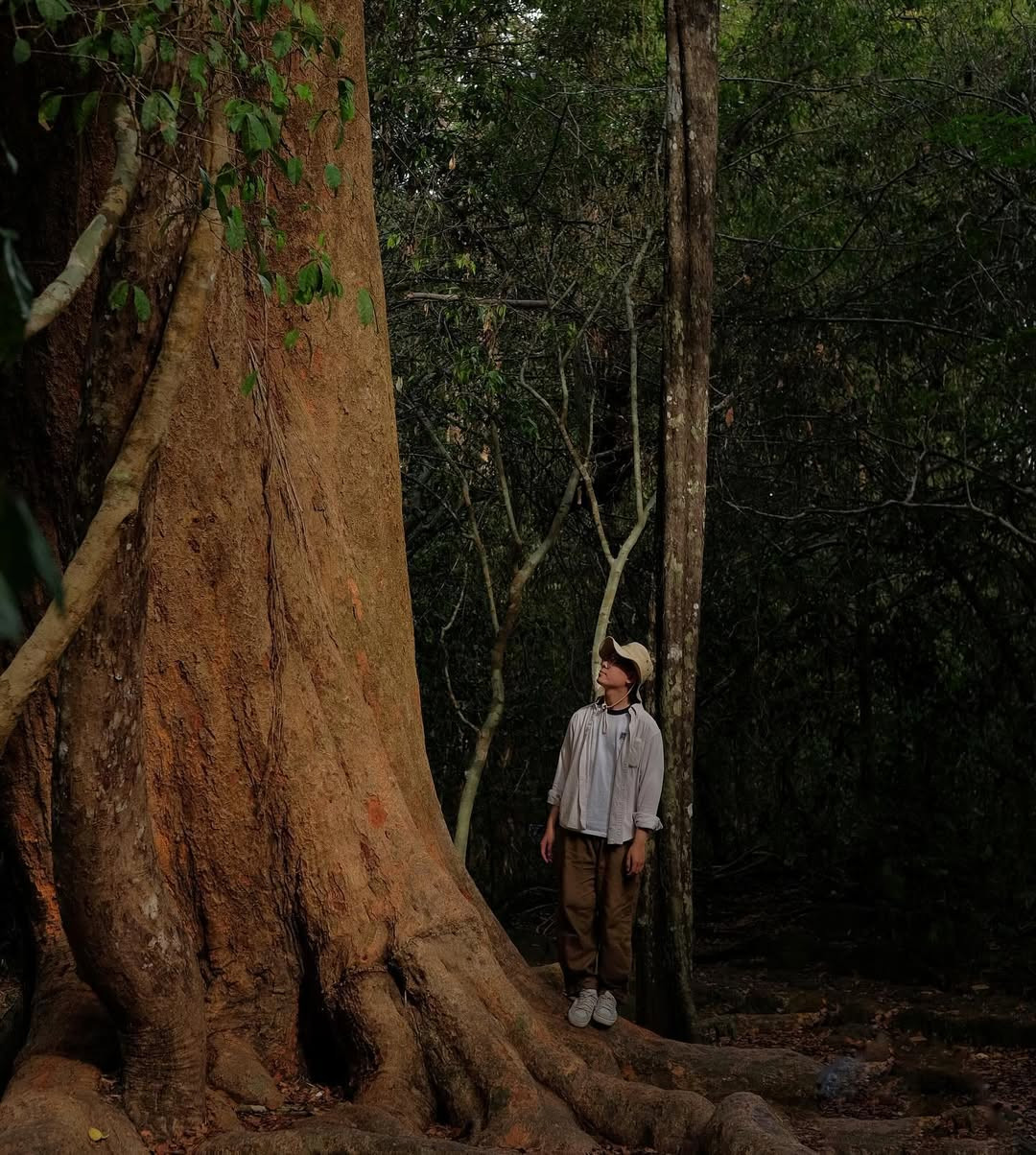 Ảnh: Hà Anh Tuấn, MONO, @layla.laid, @_benvang.benxanh.