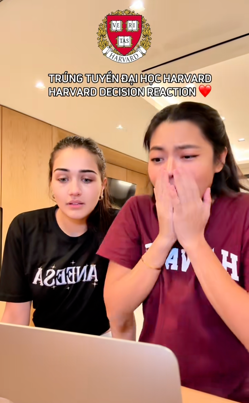 Cách đây không lâu, Phương Thảo từng đăng tải loạt video liên quan đến việc được nhận vào học tại ĐH Harvard. Ảnh chụp màn hình. Cách đây không lâu, Phương Thảo từng đăng tải loạt video liên quan đến việc được nhận vào học tại ĐH Harvard. Ảnh chụp màn hình.
