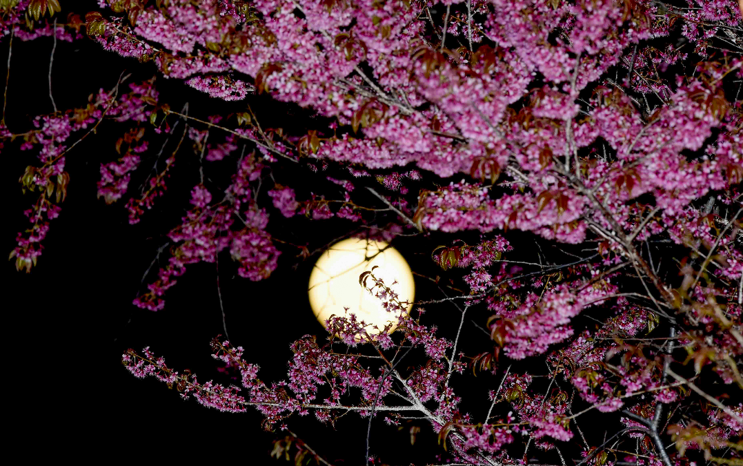 "Siêu trăng" sẽ "siêu nghệ" để bạn khoe lên "Threads City" đấy nhé! "Siêu trăng" sẽ "siêu nghệ" để bạn khoe lên "Threads City" đấy nhé!