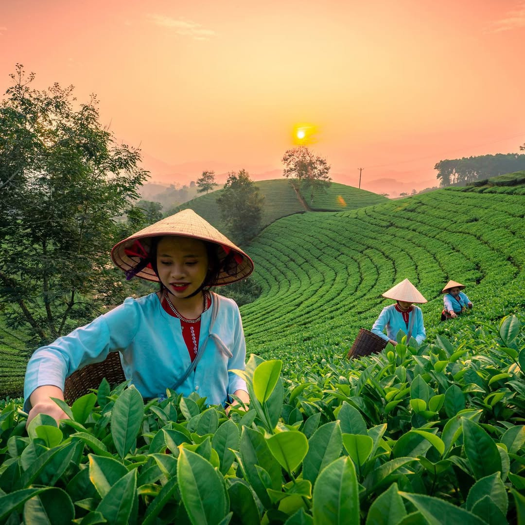 Khung cảnh này đã đủ để làm bạn "xiêu lòng"? Ảnh: @haionthego.