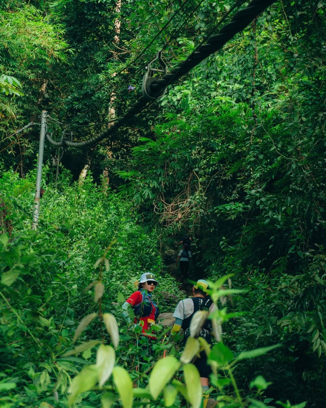 Đứng trên đỉnh núi, phóng tầm mắt ra xa, hội Gen Z sẽ có cơ hội chiêm ngưỡng toàn cảnh thiên nhiên Đồng Nai với những rừng cây xanh mướt và các áng mây bồng bềnh giữa lưng trời. Ảnh: @11th.au, @yating_sj, @punagl.