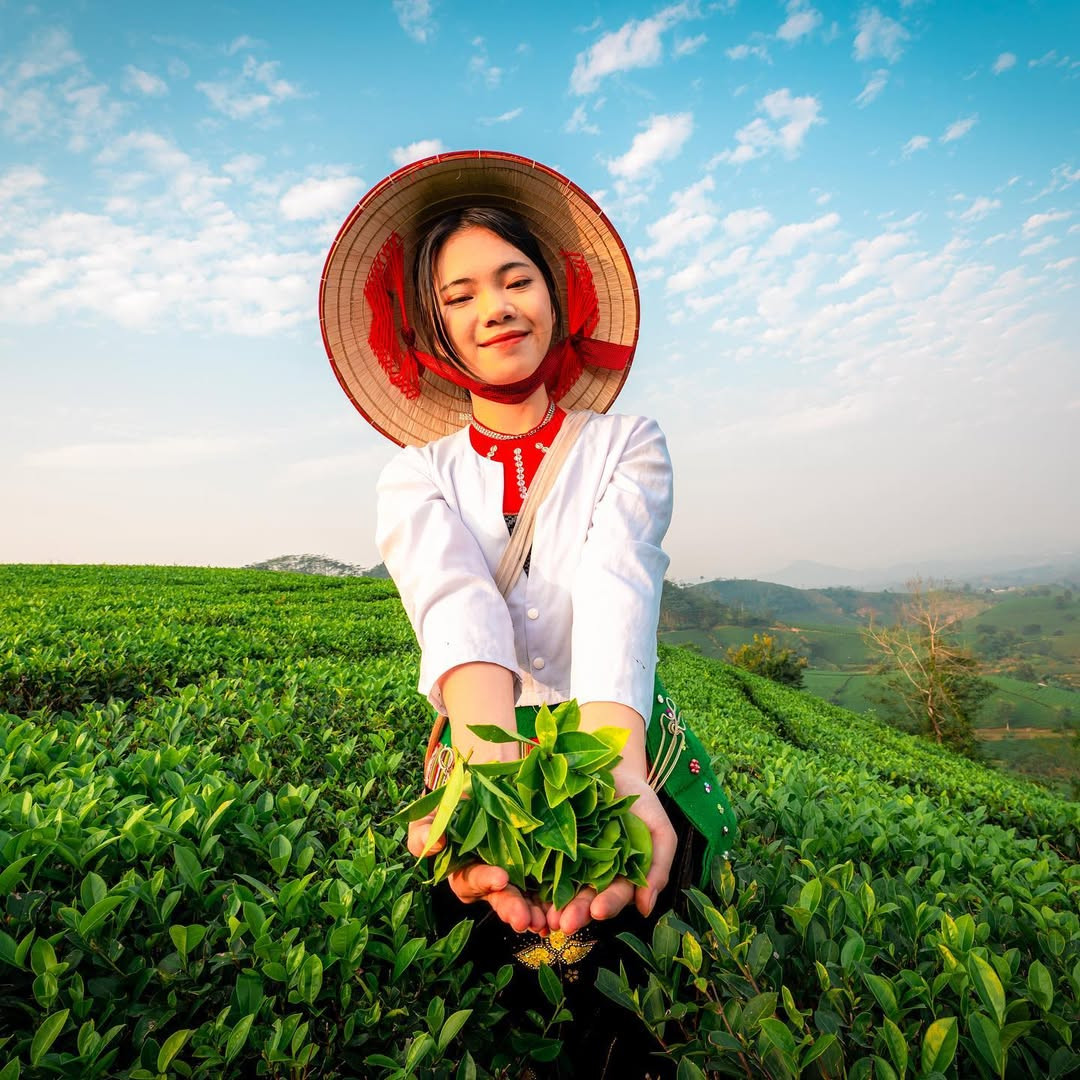 Khung cảnh này đã đủ để làm bạn "xiêu lòng"? Ảnh: @haionthego.