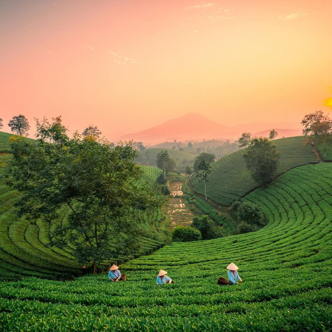 Khung cảnh này đã đủ để làm bạn "xiêu lòng"? Ảnh: @haionthego.