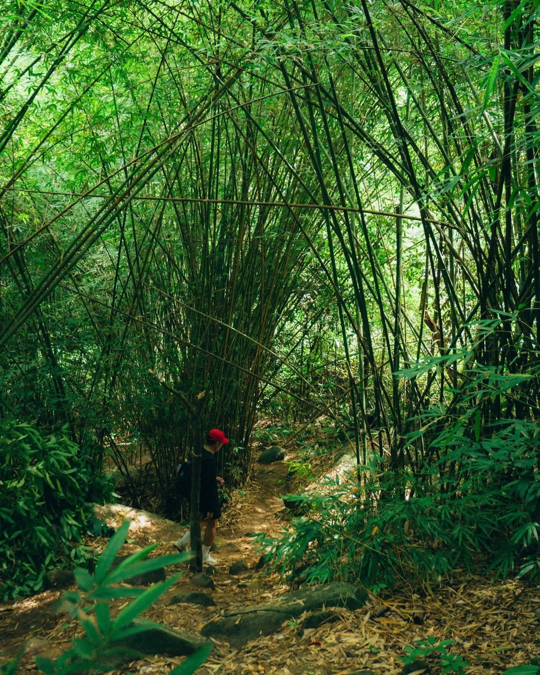 Đứng trên đỉnh núi, phóng tầm mắt ra xa, hội Gen Z sẽ có cơ hội chiêm ngưỡng toàn cảnh thiên nhiên Đồng Nai với những rừng cây xanh mướt và các áng mây bồng bềnh giữa lưng trời. Ảnh: @11th.au, @yating_sj, @punagl.