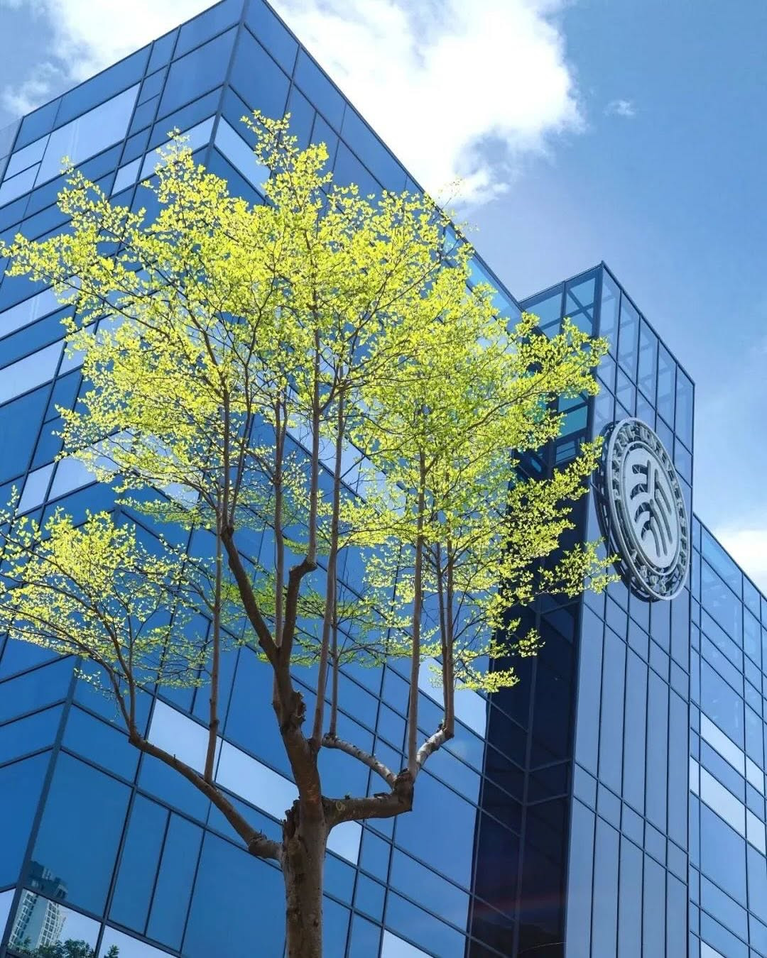 Không phải vô cớ mà Bắc Đại là ngôi trường trong mơ của nhiều sinh viên châu Á. Ảnh: @pku1898. Không phải vô cớ mà Bắc Đại là ngôi trường trong mơ của nhiều sinh viên châu Á. Ảnh: @pku1898.