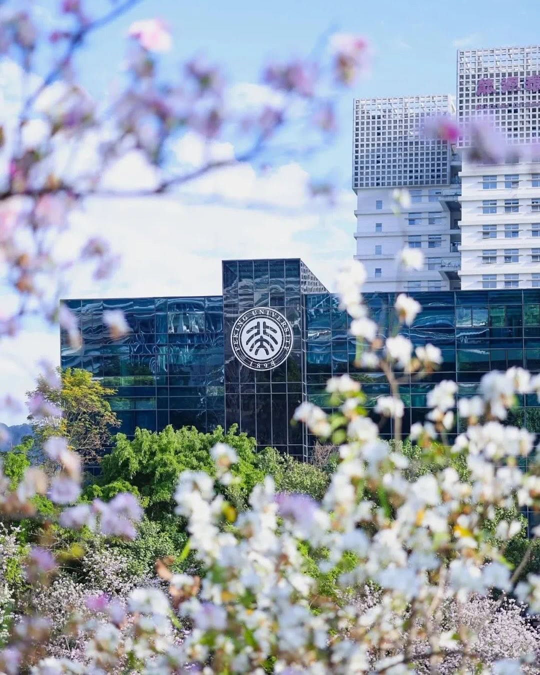 Không phải vô cớ mà Bắc Đại là ngôi trường trong mơ của nhiều sinh viên châu Á. Ảnh: @pku1898. Không phải vô cớ mà Bắc Đại là ngôi trường trong mơ của nhiều sinh viên châu Á. Ảnh: @pku1898.