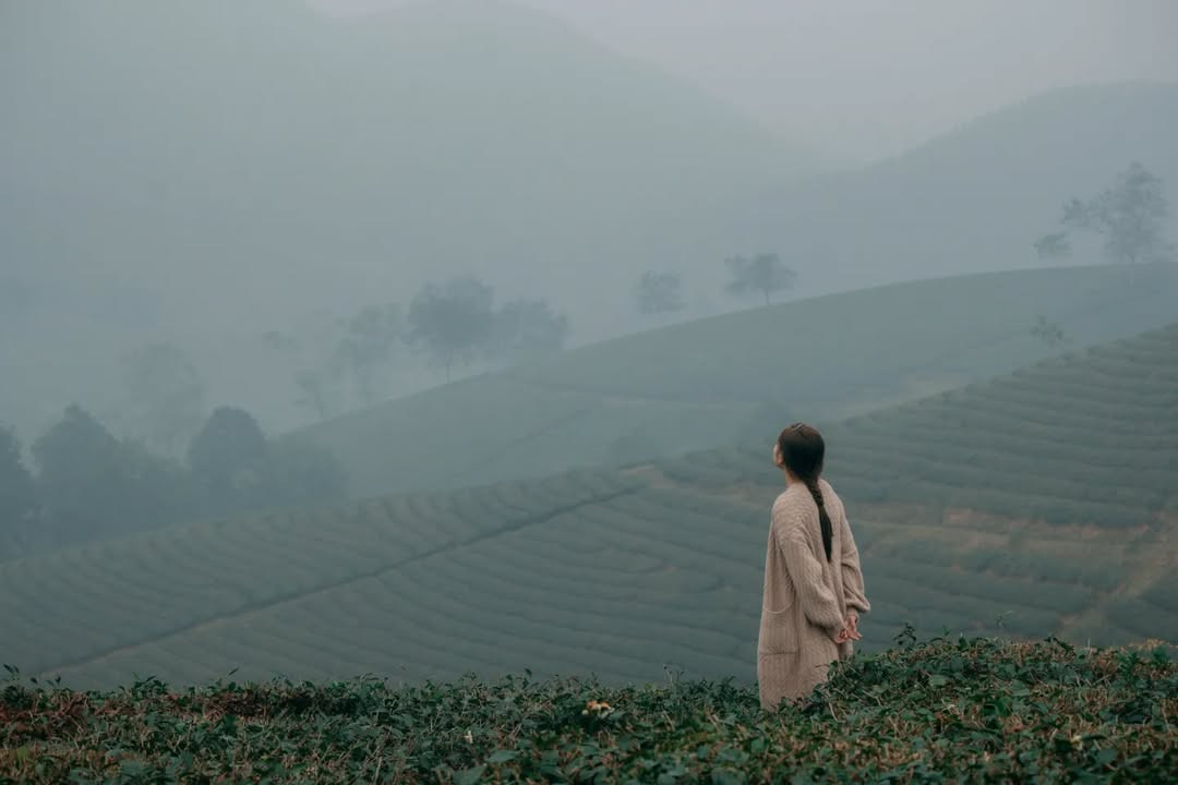 Không thua gì đồi chè Mộc Châu hay đồi chè Cầu đất, đồi chè Long Cốc cũng có thể khiến bạn có những hình ảnh đẹp miễn bàn! Ảnh: @ttquynh000, @ngoctuyetduong, Nguyễn Anh Chiêm.