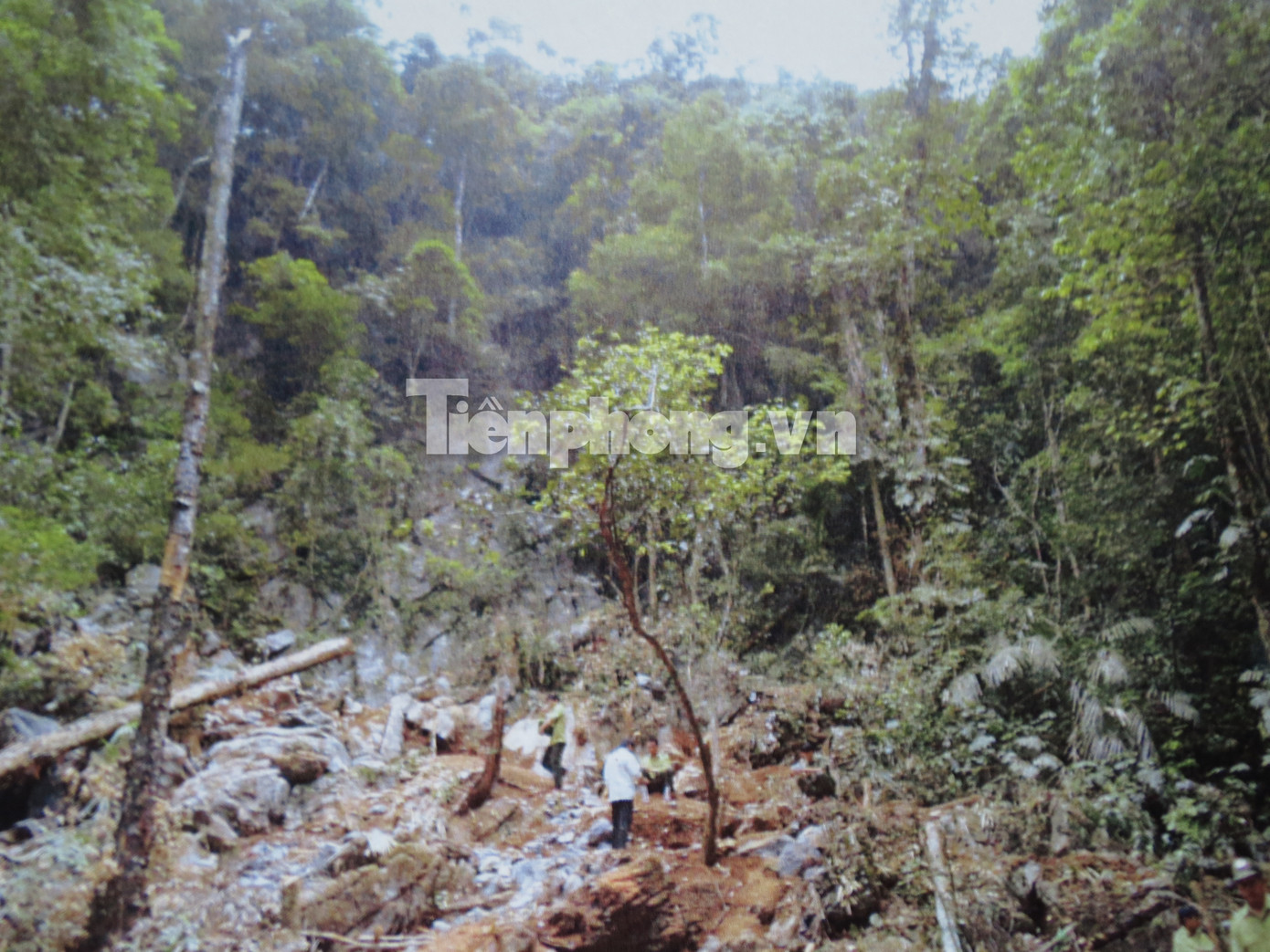 Rất nhiều nhóm từ 3-5 người có dao uy hiếp người dân đến khu vực được cho là giấu huê hbdgrg