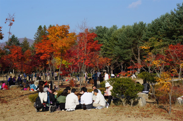  Nami ngày cuối tuần là nơi tụ tập của các nhóm người, từ trẻ đến già. Họ mang theo kimbap, ngồi nghỉ ngơi và ăn cùng nhau