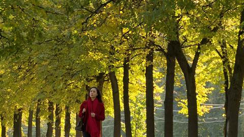 Hồng Đăng - Hồng Diễm 'tình cũ không rủ cũng tới' ảnh 2