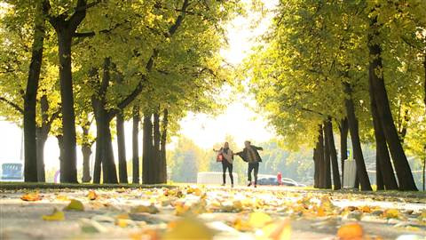 Hồng Đăng - Hồng Diễm 'tình cũ không rủ cũng tới' ảnh 12