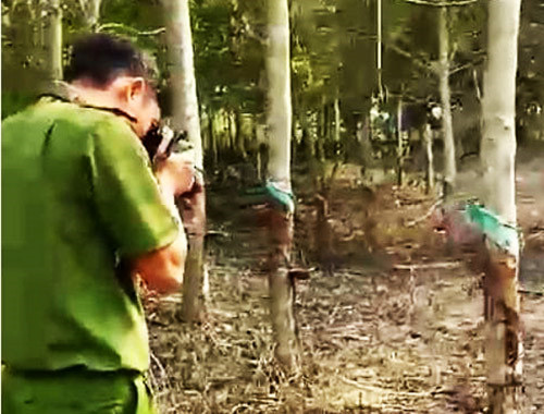 Níu kéo tình cảm bất thành, đốt rẫy điều của người tình ảnh 1