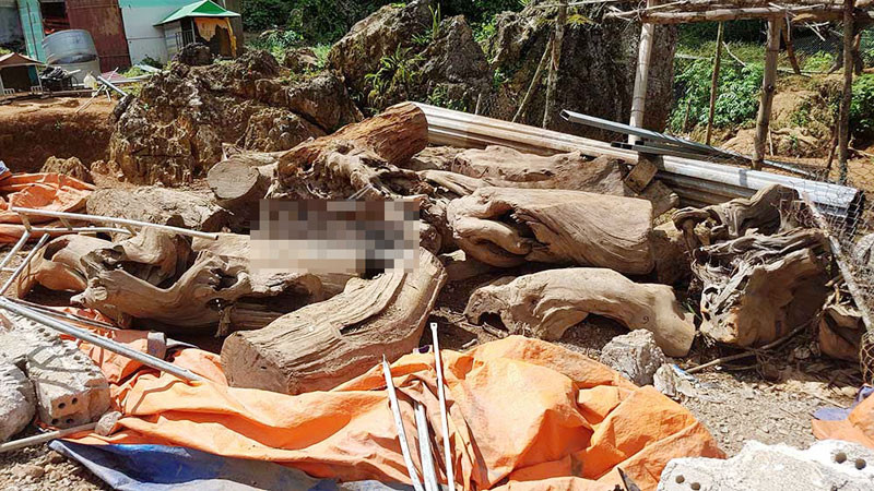 Vụ đánh sập thủ phủ ma túy Lóng Luông: Những bí mật lần đầu công bố ảnh 1