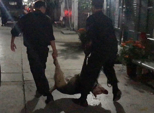 Bắt nghi phạm thảm sát 5 người trong gia đình ở Sài Gòn ảnh 2